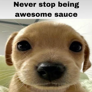 Meet your Posher, Angelina z